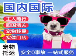 胶东航空邮寄国际宠物托运 【国
